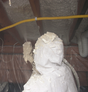 Antioch CA crawl space insulation